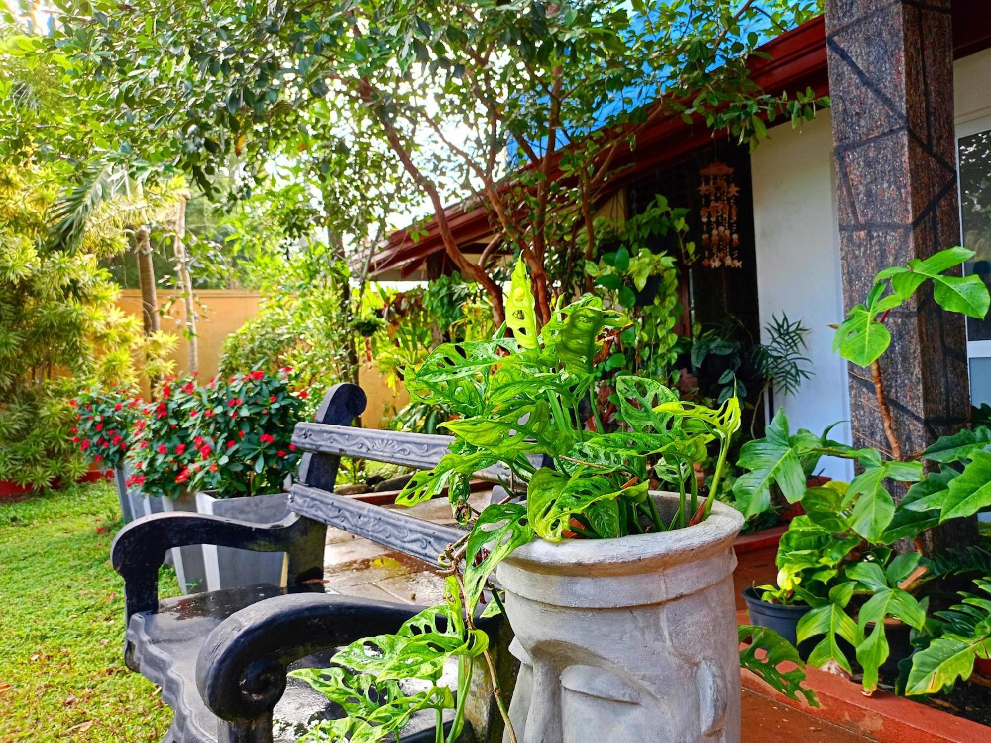 Raj Mahal Inn Wadduwa Exteriér fotografie