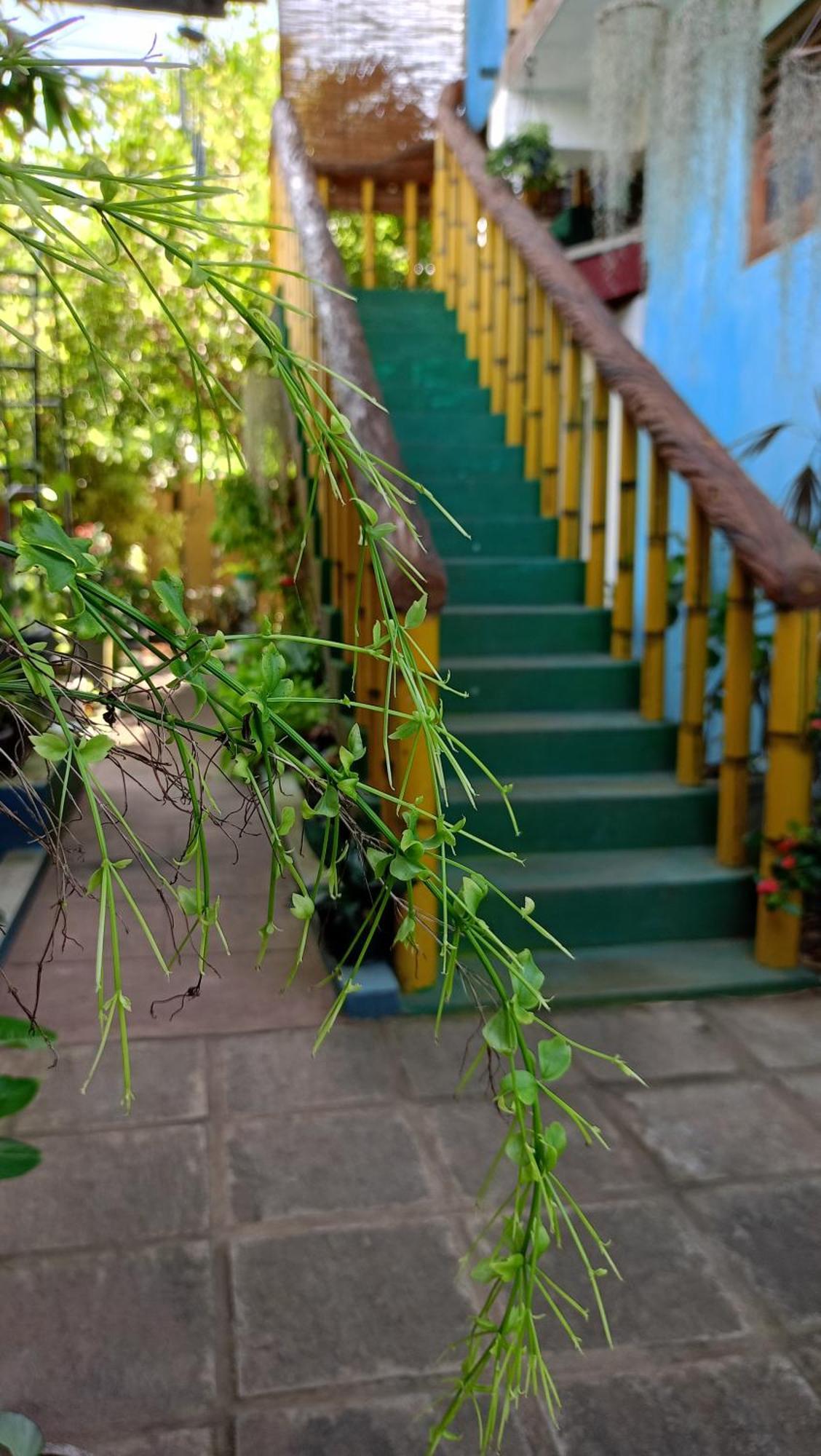 Raj Mahal Inn Wadduwa Exteriér fotografie